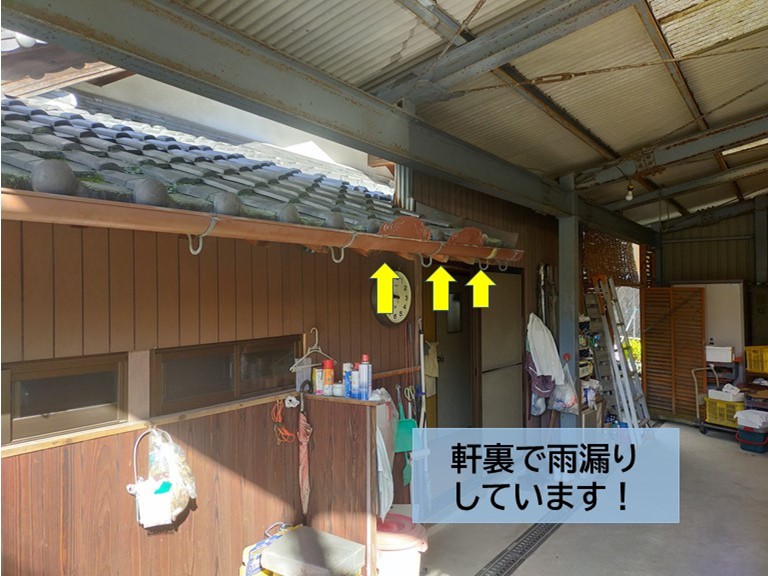 泉大津市　軒裏で雨漏りしています